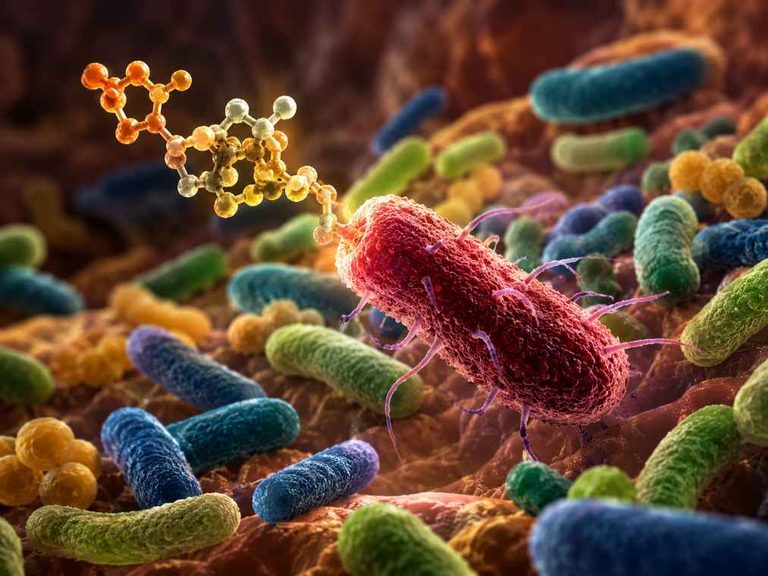 Scientists Find Natural Compound That Targets C. difficile While Preserving Beneficial Gut Bacteria